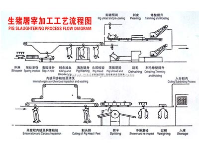 满冠官方网站